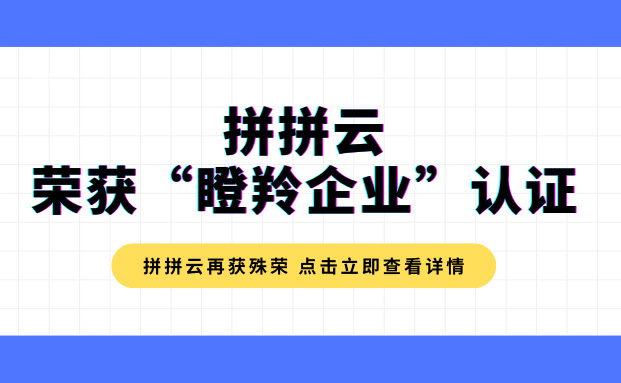 喜报 | 热烈祝贺拼拼云荣获2022年度“瞪羚企业”称号