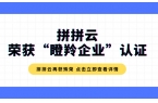 喜报 | 热烈祝贺拼拼云荣获2022年度“瞪羚企业”称号